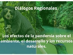 La perspectiva frente al medio ambiente después del Covid-19 está llena de claros y oscuro. Así se concluyó en una nueva sesión del conversatorio Diálogos Regionales.